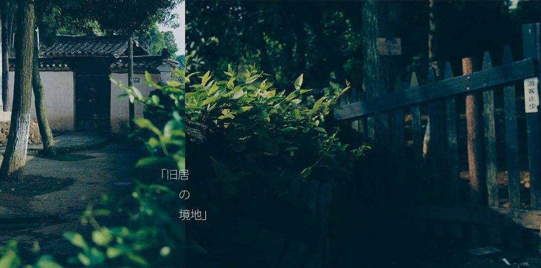 诸葛亮打野钟无艳上单，QG被载入史册的BP！刺痛直言低段位阵容